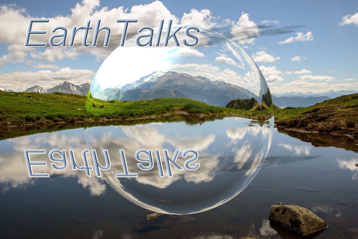 EESI EarthTalks seminar series to focus on 'Broader Impacts and Community Engagement in Research Design'